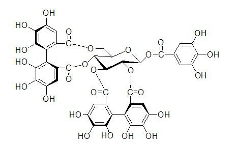 鞣花单宁酸功效抗过敏 抗菌消炎 抗氧化 收敛 去角质白